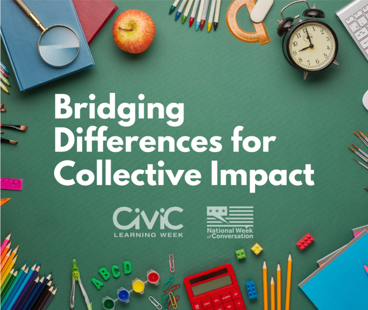 Bridging Differences for Collective Impact Panel