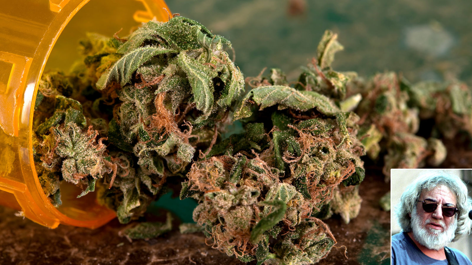 Боль в спине и марихуана растение похожее на коноплю внешне