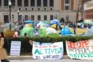 Education, Colleges and Universities, Columbia University, Pro-Palestine Protests