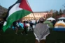 Education, Colleges and Universities, Pro-Palestine Protests, Scholarships