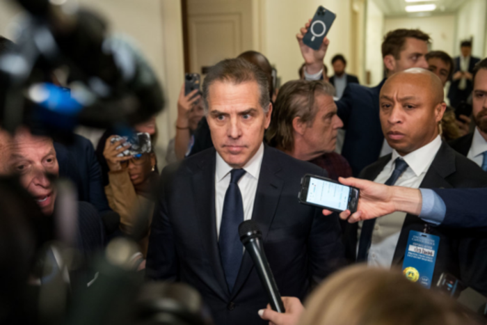Facts and Fact Checking, Hunter Biden, Testimony