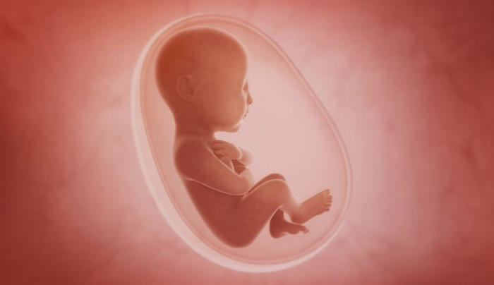 abortion, pro-life, Kentucky