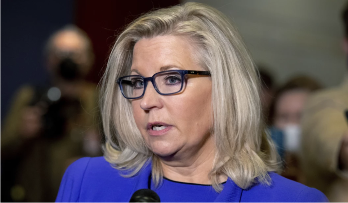elections, 2022 Elections, Liz Cheney, campaign finance