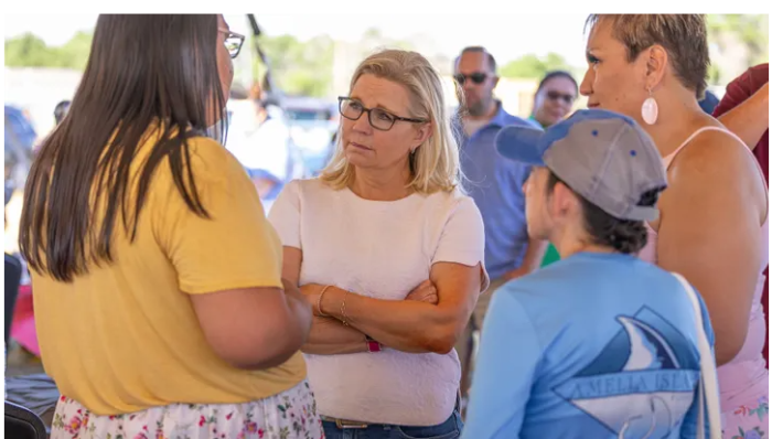 2022 Elections, Elections, 2022 Wyoming House Election, Alaska, Wyoming, Liz Cheney