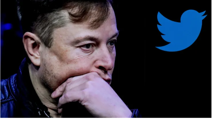 Technology, Twitter, Elon Musk, Verification