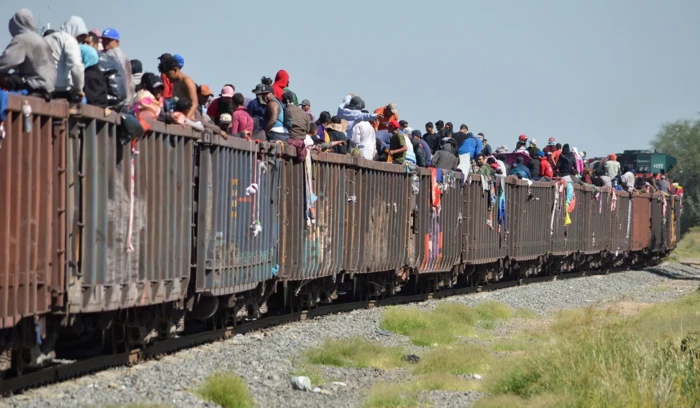 Immigration, Illegal Immigration, Border Crisis