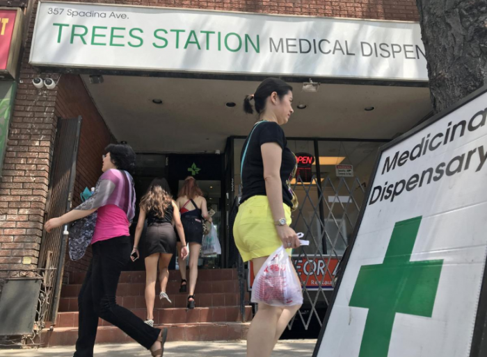 Trees Station, a medical marijuana dispensary
