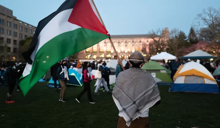Education, Colleges and Universities, Pro-Palestine Protests, Scholarships
