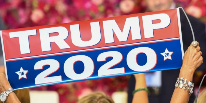 Election 2020, Donald Trump